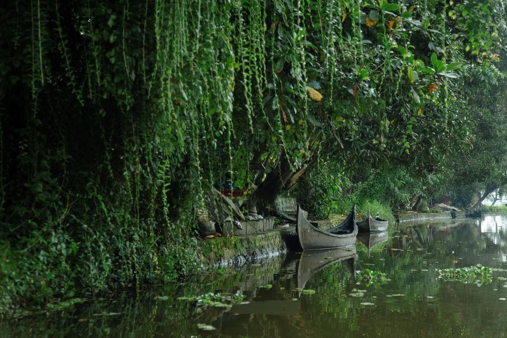 Palmgrove Lake Resort Alappuzha Kültér fotó